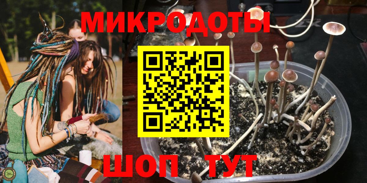 Галлюциногенные грибы Psilocybine cubensis  Вход с VPN  Жуковский 